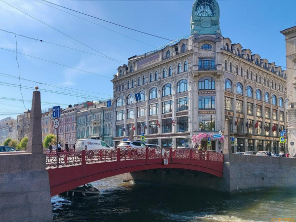 Авторская пешеходная экскурсия «Мосты через реки и каналы Петербурга. Мойка»